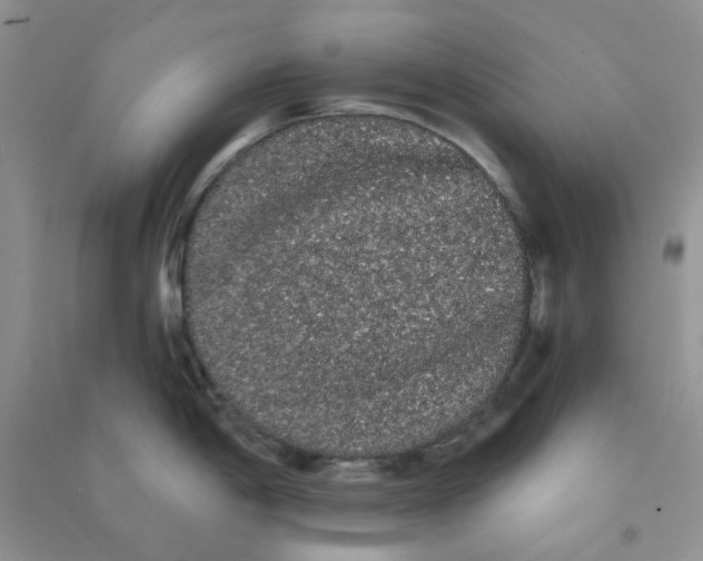 X0000090711198200708171900