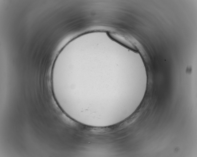 X0000090711199200708171900