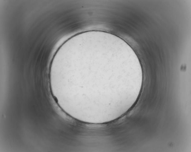 X0000090711200200708171900