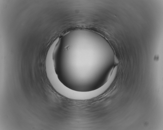 X0000090711202200708171859