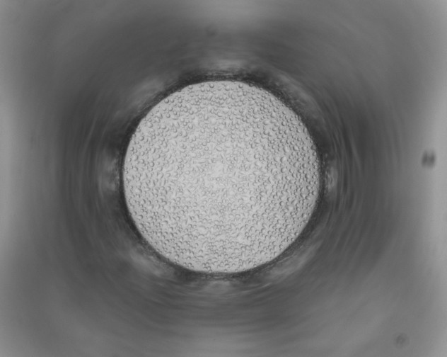 X0000090711204200708171859