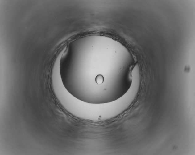 X0000090711206200708171859