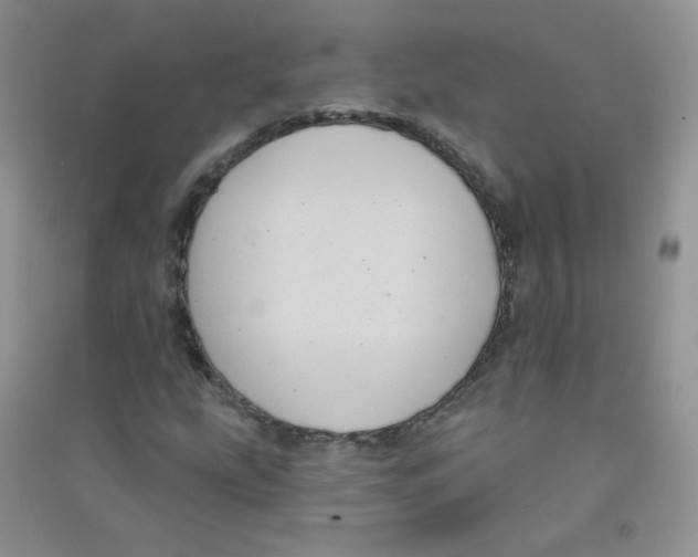 X0000090711207200708171859