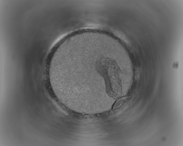 X0000090711208200708171900