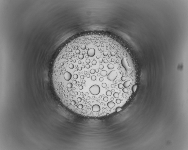 X0000090711209200708171900