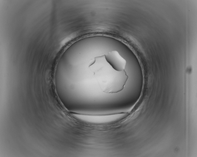 X0000090711210200708171900