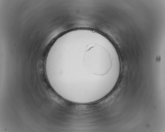 X0000090711211200708171900