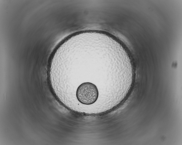 X0000090711212200708171900