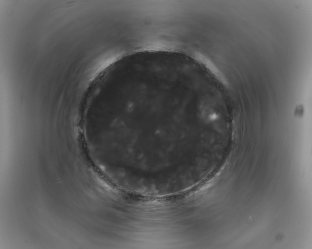 X0000090711213200708171900