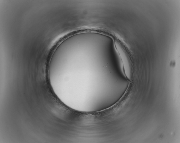 X0000090711214200708171900