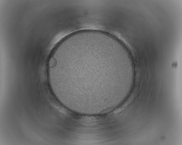 X0000090711215200708171900