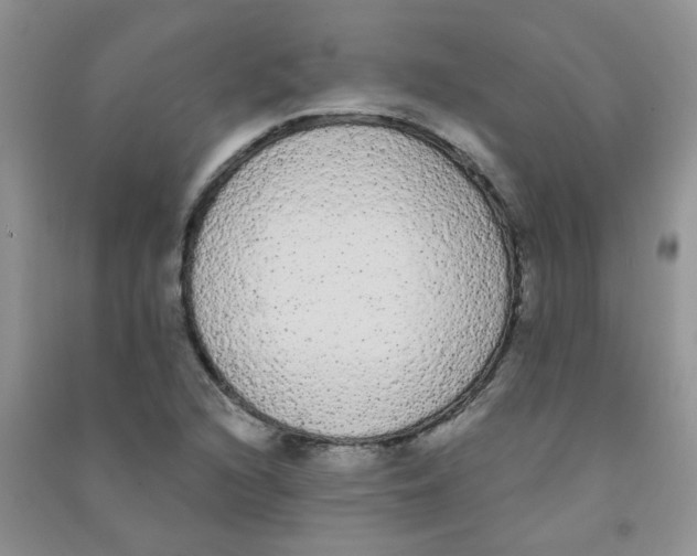 X0000090711216200708171900