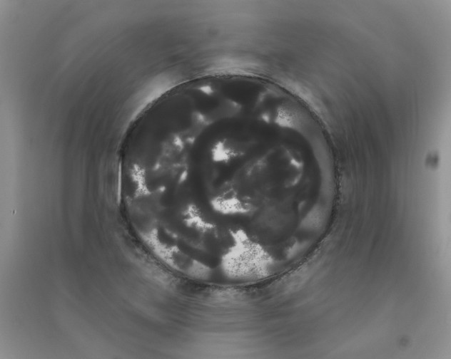 X0000090711219200708171900