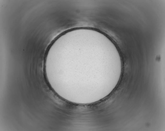 X0000090711220200708171900