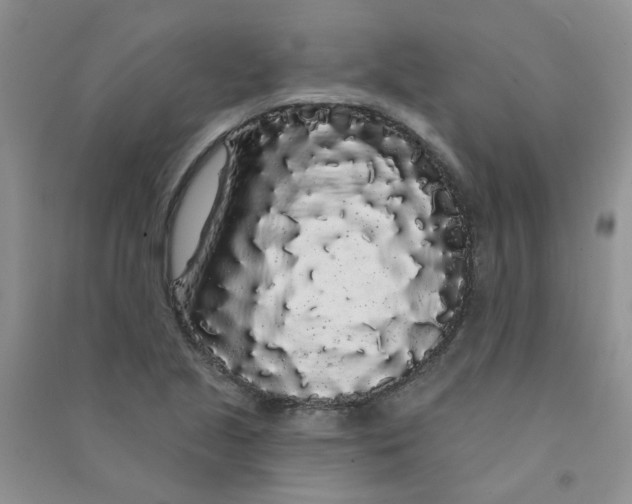 X0000090711221200708171900