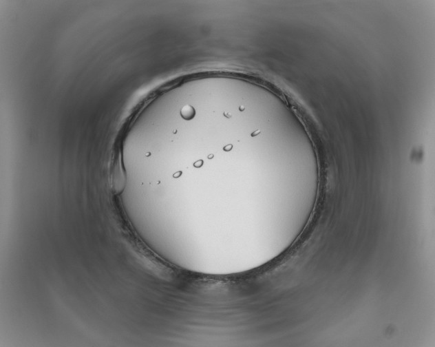 X0000090711222200708171900