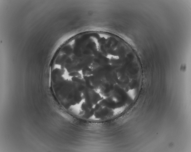 X0000090711223200708171900