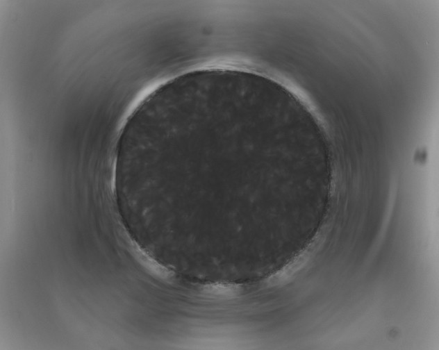 X0000090711224200708171900