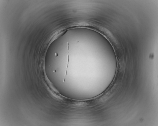 X0000090711225200708171900