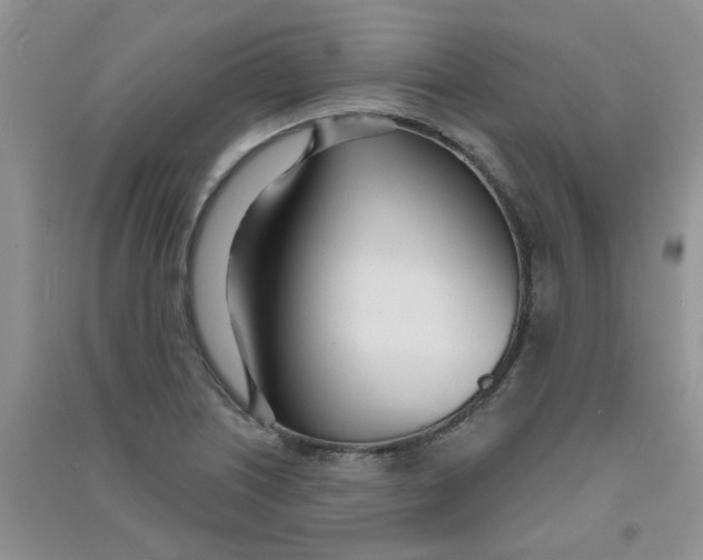 X0000090711226200708171900