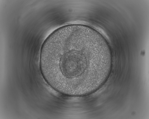 X0000090711228200708171900