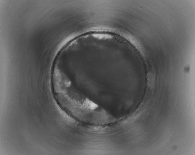 X0000090711229200708171900