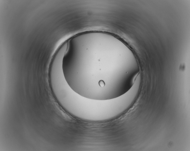 X0000090711230200708171900