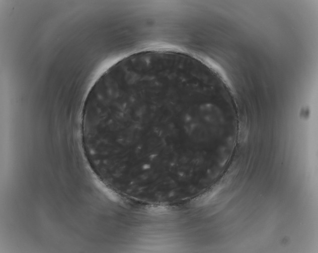 X0000090711231200708171900