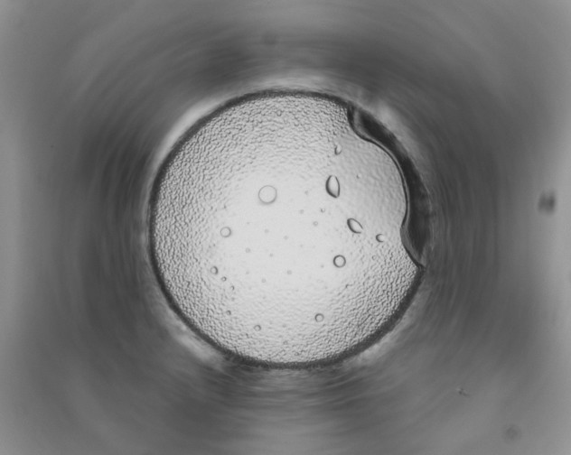 X0000090711232200708171900