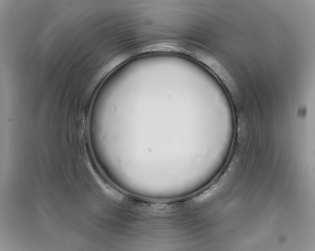 X0000090711233200708171900