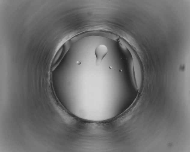 X0000090711234200708171900