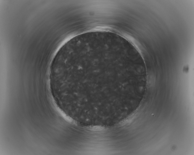 X0000090711235200708171900