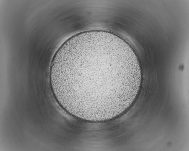 X0000090711236200708171900