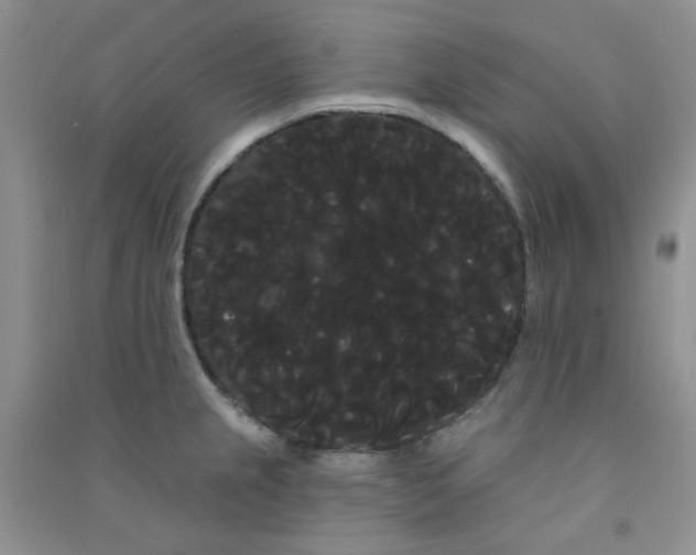 X0000090711237200708171900