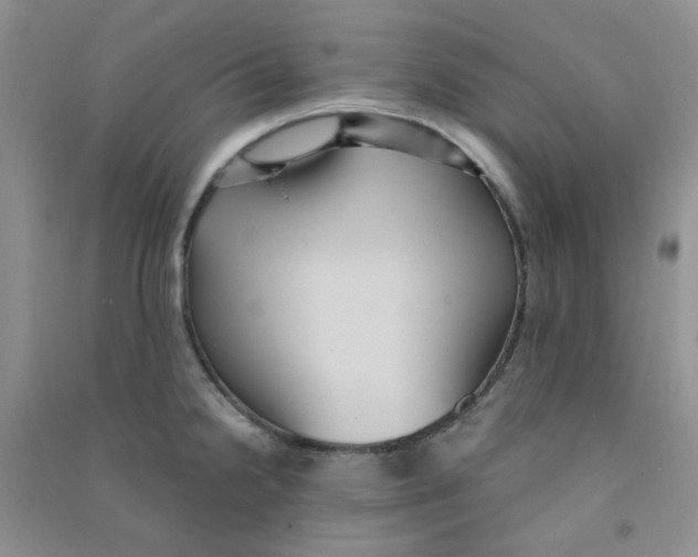 X0000090711238200708171900