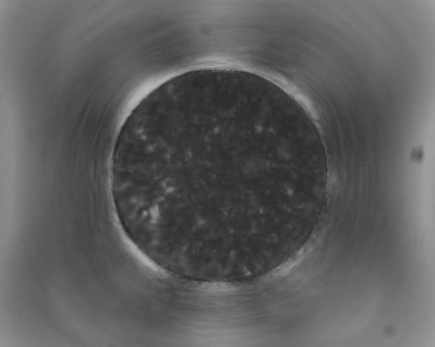 X0000090711239200708171900