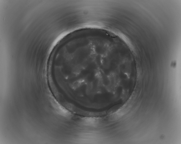 X0000090711240200708171900