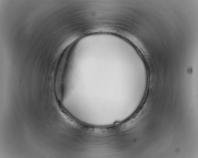 X0000090711241200708171900