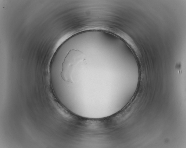 X0000090711242200708171900