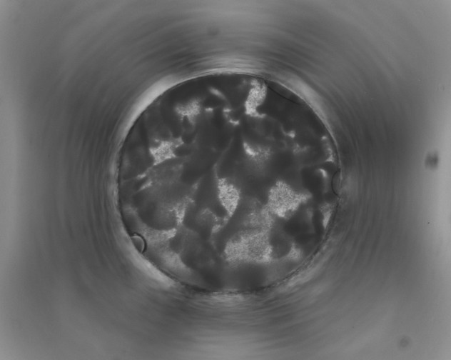 X0000090711243200708171900