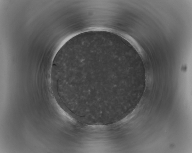 X0000090711244200708171900