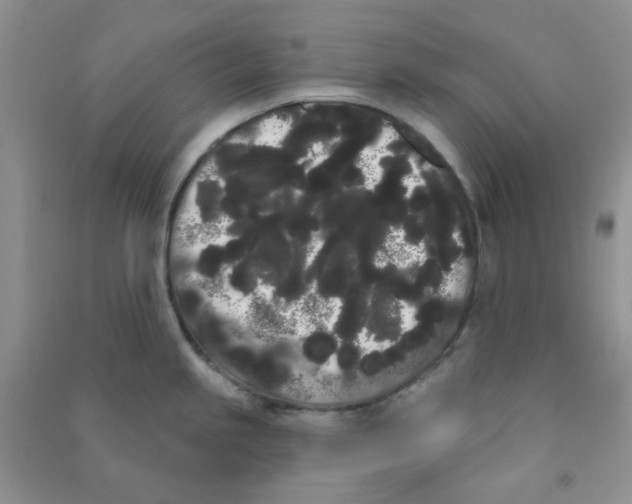 X0000090711245200708171900