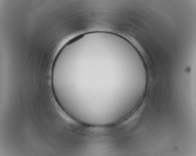 X0000090711246200708171900