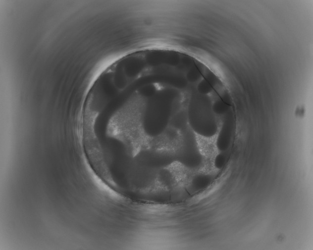 X0000090711247200708171900