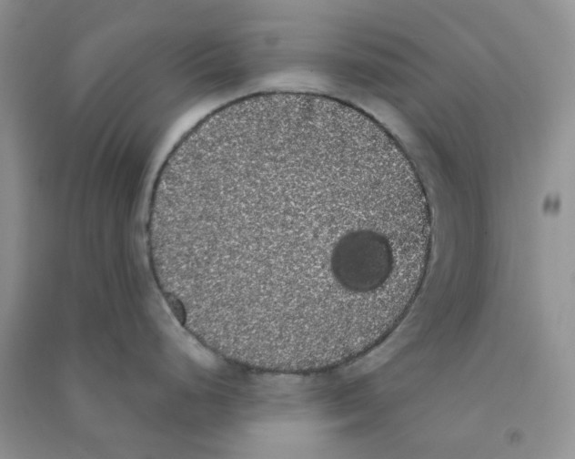 X0000090711248200708171900