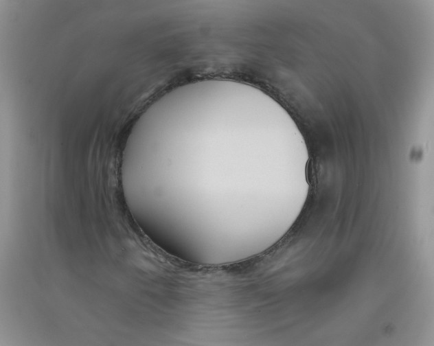 X0000090711250200708171859