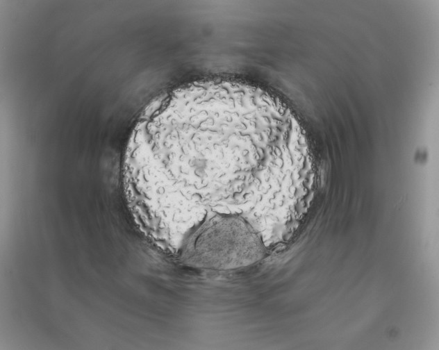 X0000090711251200708171859