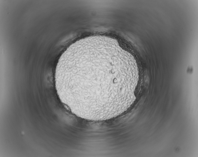 X0000090711252200708171859