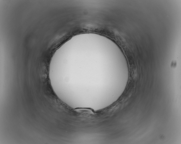 X0000090711253200708171859