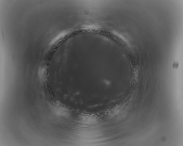 X0000090711254200708171859